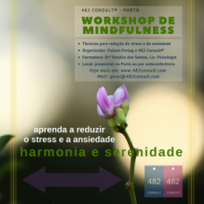 Workshop por webconferência Workshop por webconferência